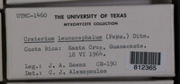 Image Associated With the Occurence